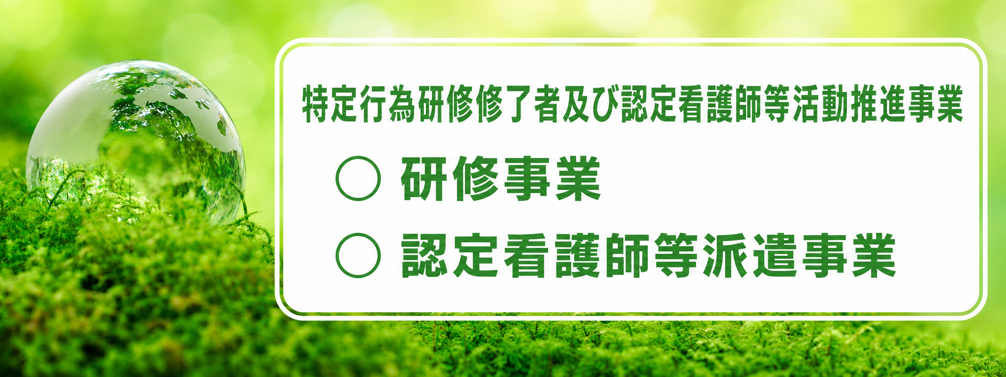 特定行為研修修了者及び認定看護師等活動推進事業